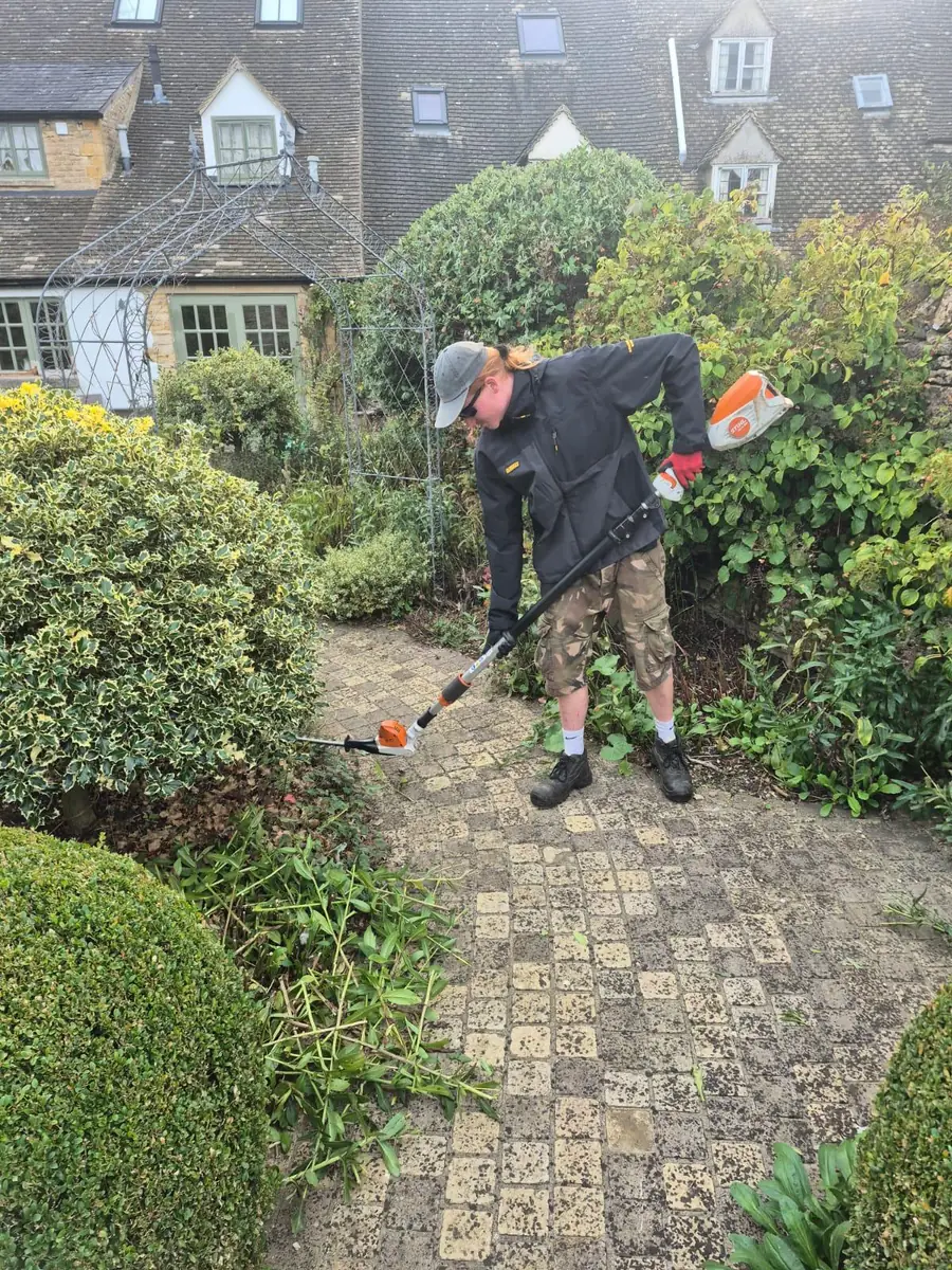 Ed trimming a hedge in a customer's garden